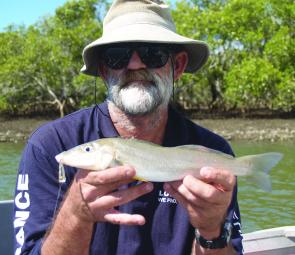 Whiting have been thick on the beaches and there have been plenty of fish in the estuaries, too. Bait works and so do the poppers.